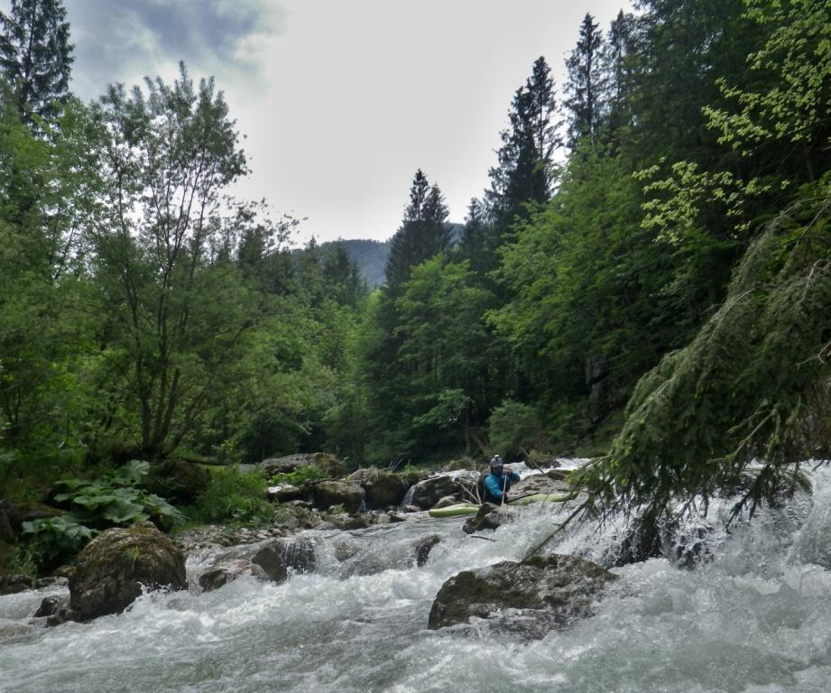 08 Erlauf (1)