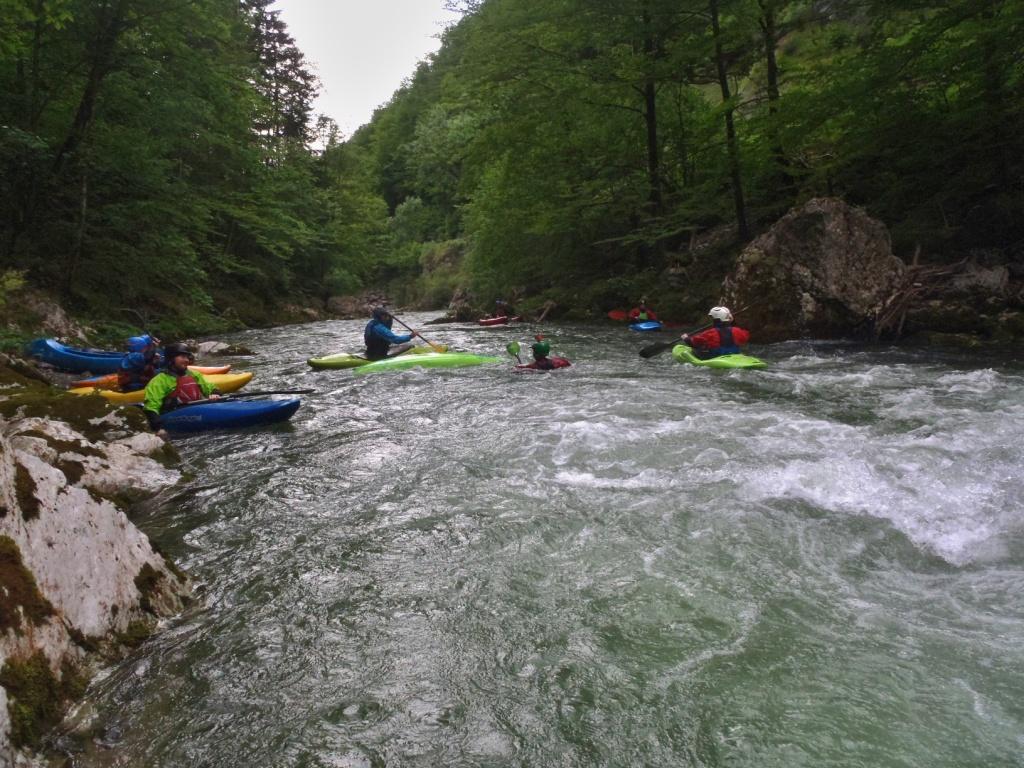 08 Erlauf spodní úsek (9)