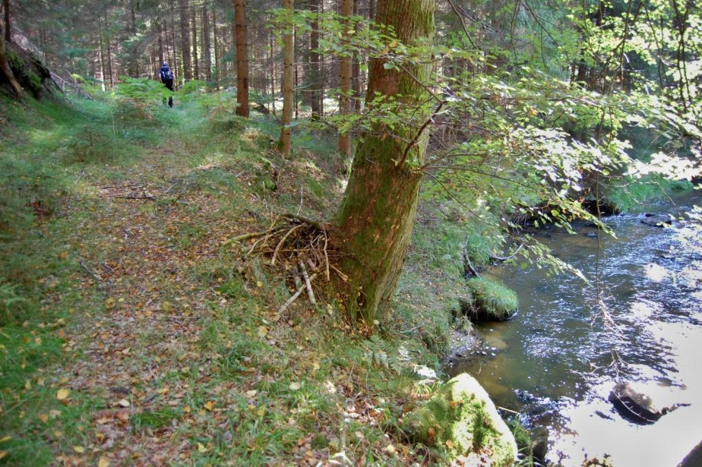 04 Reissbach ( Dračice v Rakousku ) (9)