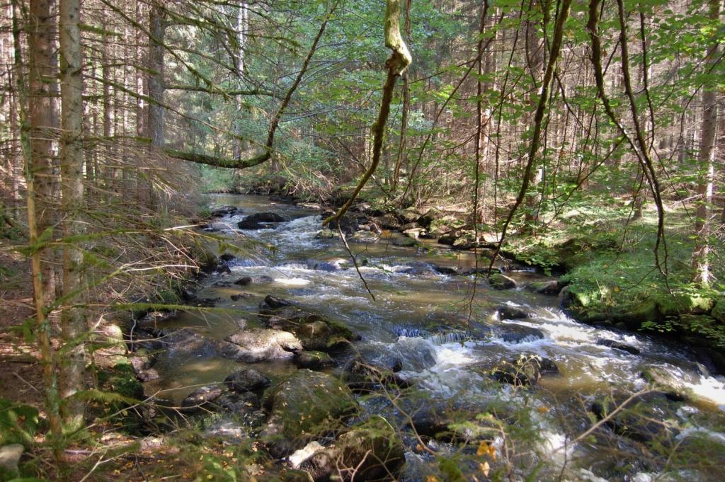 04 Reissbach ( Dračice v Rakousku ) (14)