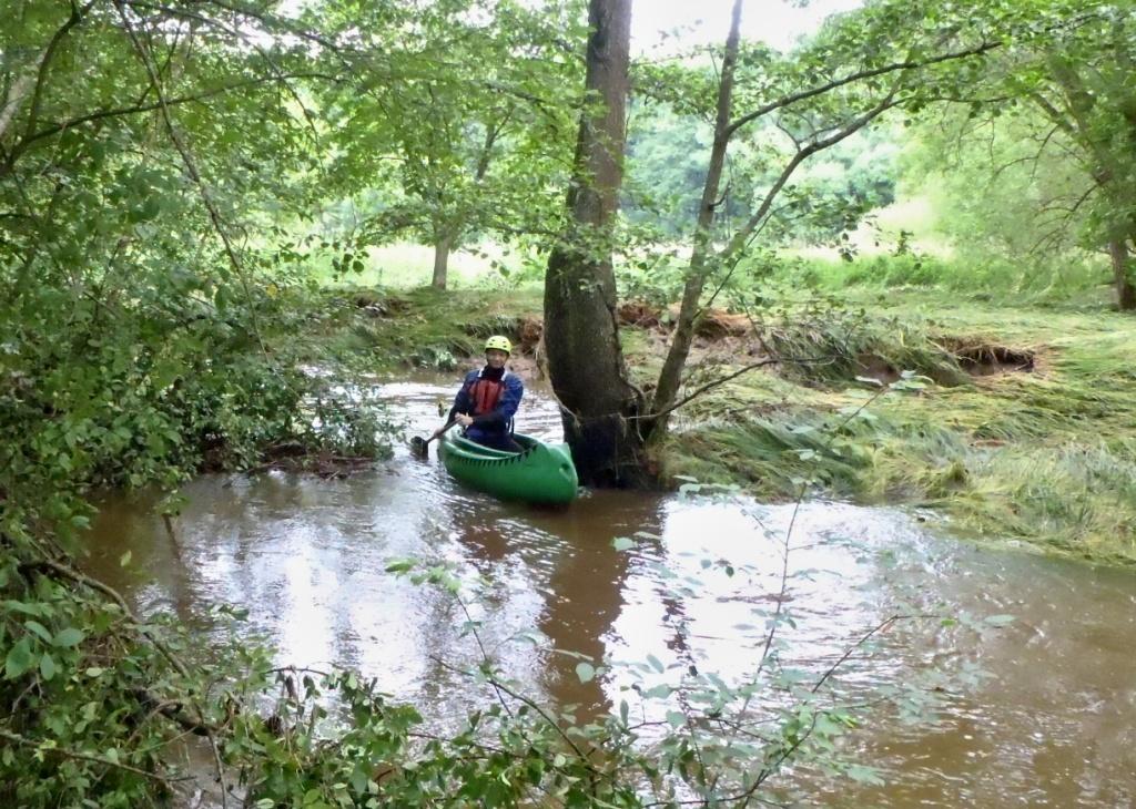 02 vrbičkárna  nad Křenovem  (1)