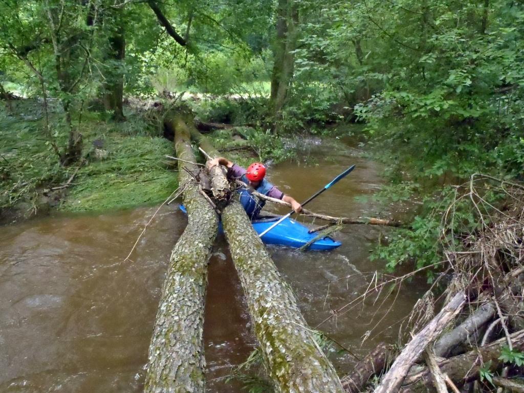 02 vrbičkárna  nad Křenovem  (6)